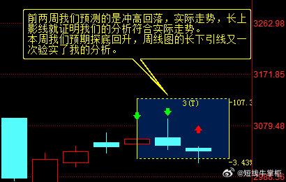 一肖一码中持一一肖一码，前沿解答解释落实_ad36.00.41