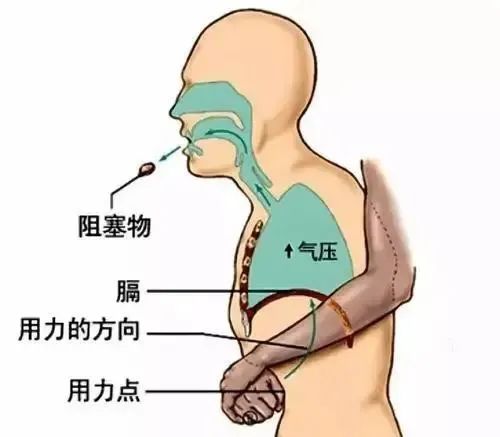 书法家 第9页